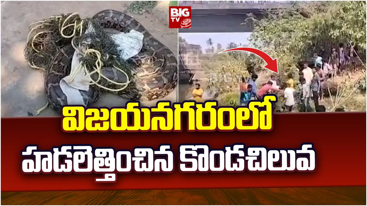 Python in Vijayanagaram | విజయనగరంలో హడలెత్తించిన కొండచిలువ | BIG TV Vijayanagaram