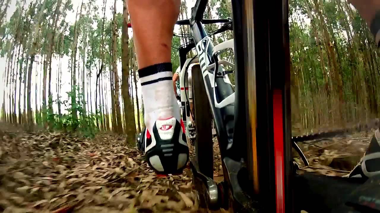 BMC teamelite TE01 29er