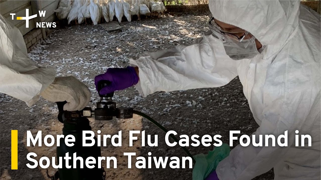 More H5N1 Bird Flu Cases Detected in Southern Taiwan | TaiwanPlus News