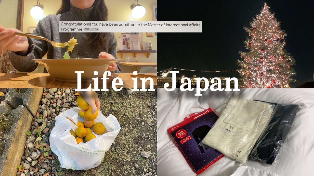 Life in Japan Vlog | Business trip to Nagoya, Christmas market in Minatomirai! ⛄️🍫