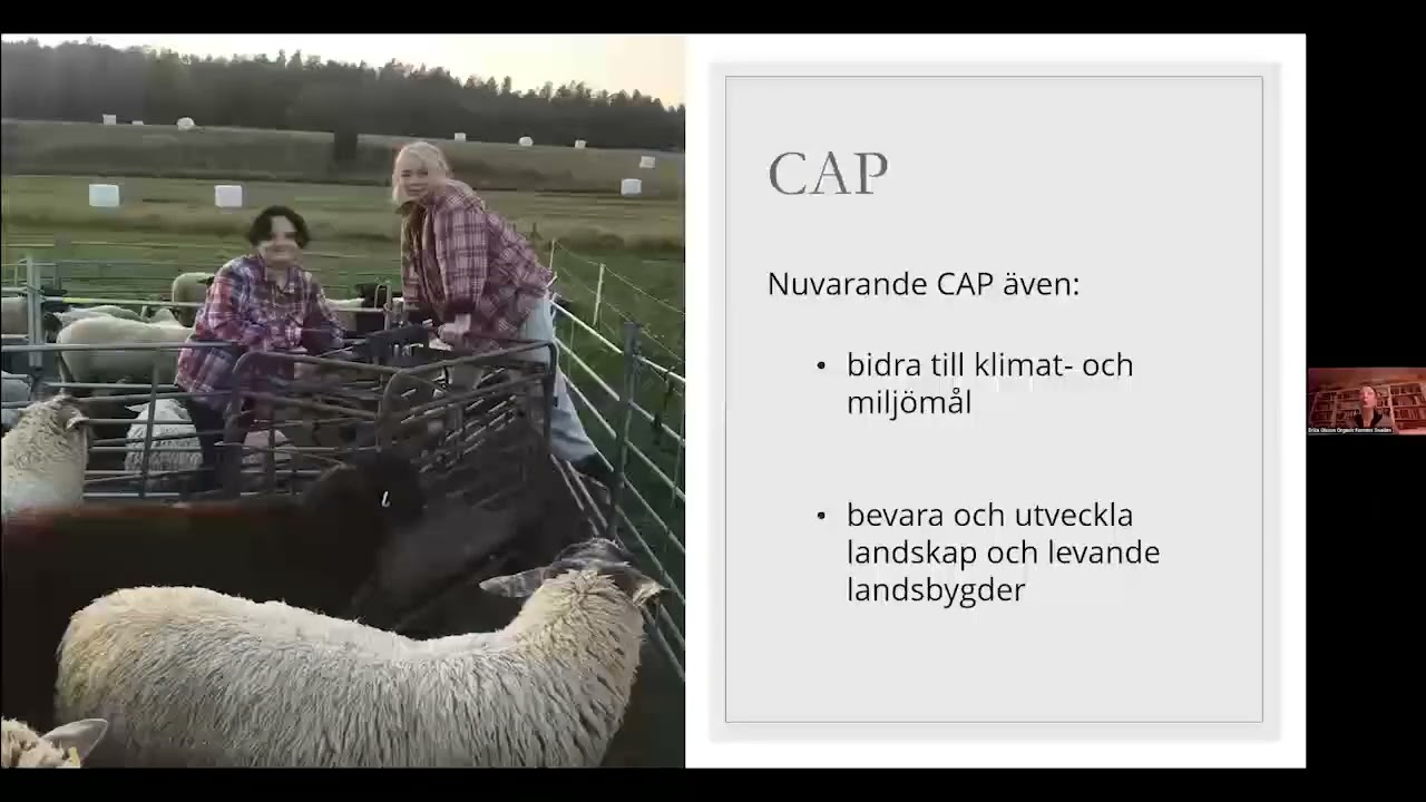 Del 4 Erika Olsson föreläsning