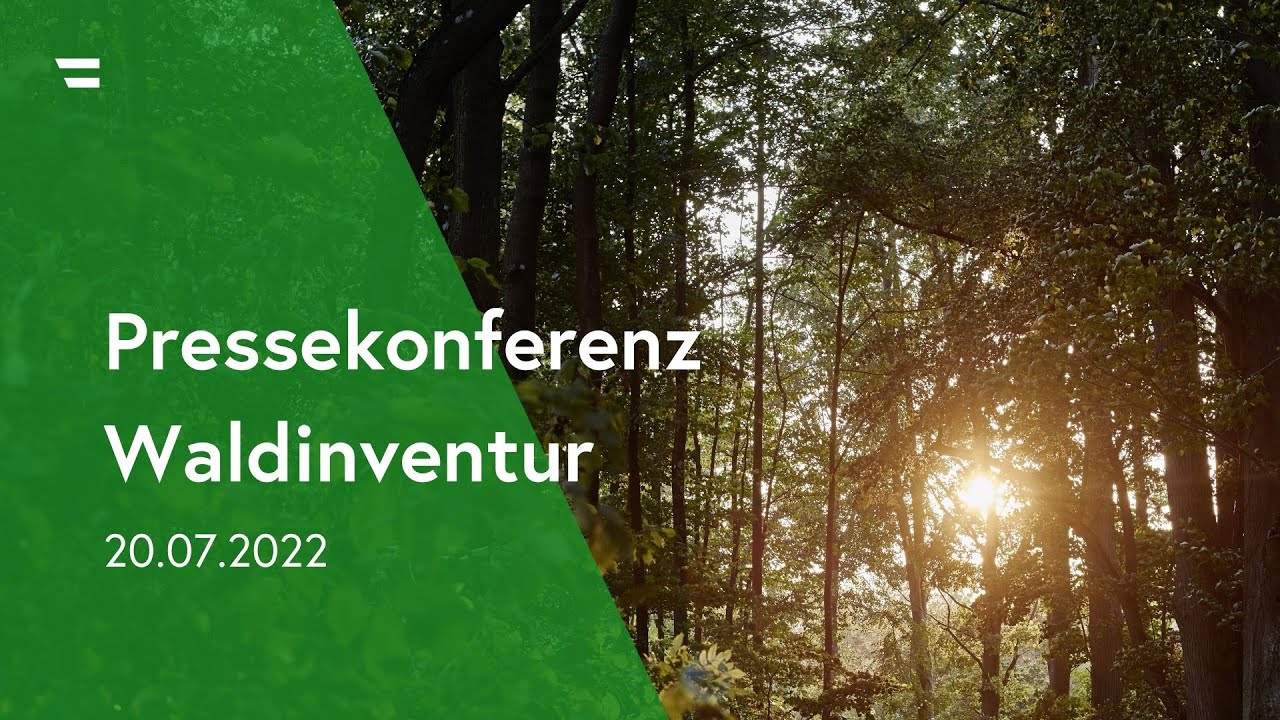 Pressekonferenz Waldinventur