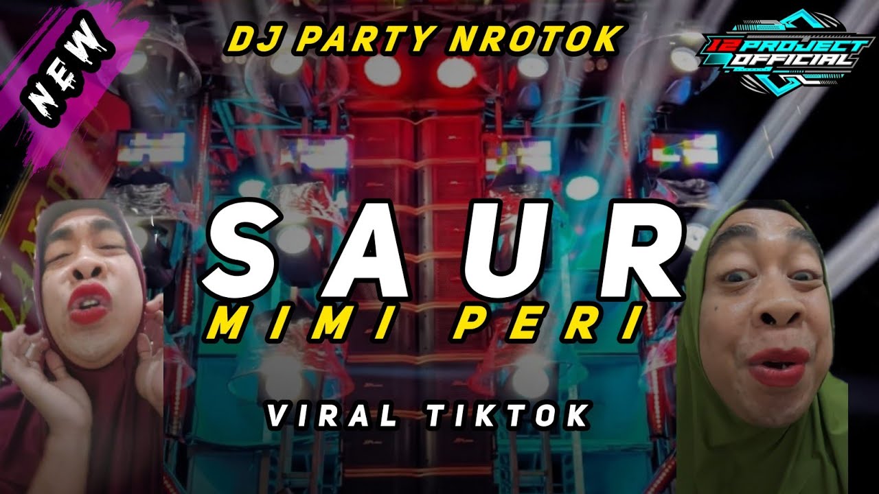 DJ SAUR YANG PALING VIRAL DI BULAN PUASA  (style party nrotok)