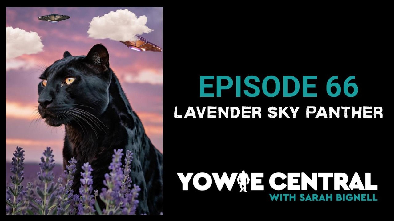 Yowie Central - Episode 66 UFOs - Bigfoot & Spiritual Encounters | Varleigh (Lavender Sky Panther)