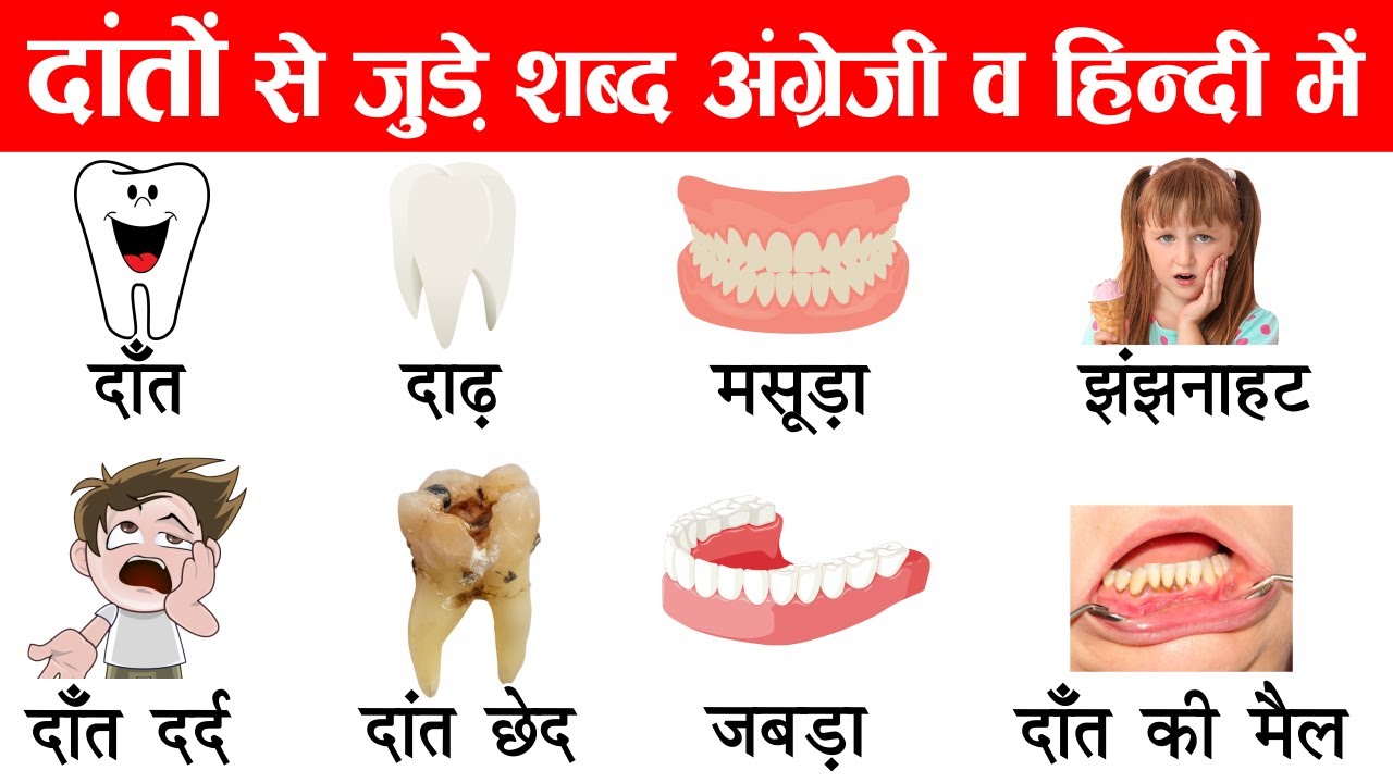 Teeth Related Word Meaning With Pictures | Teeth English Vocabulary | Daily Life English Words