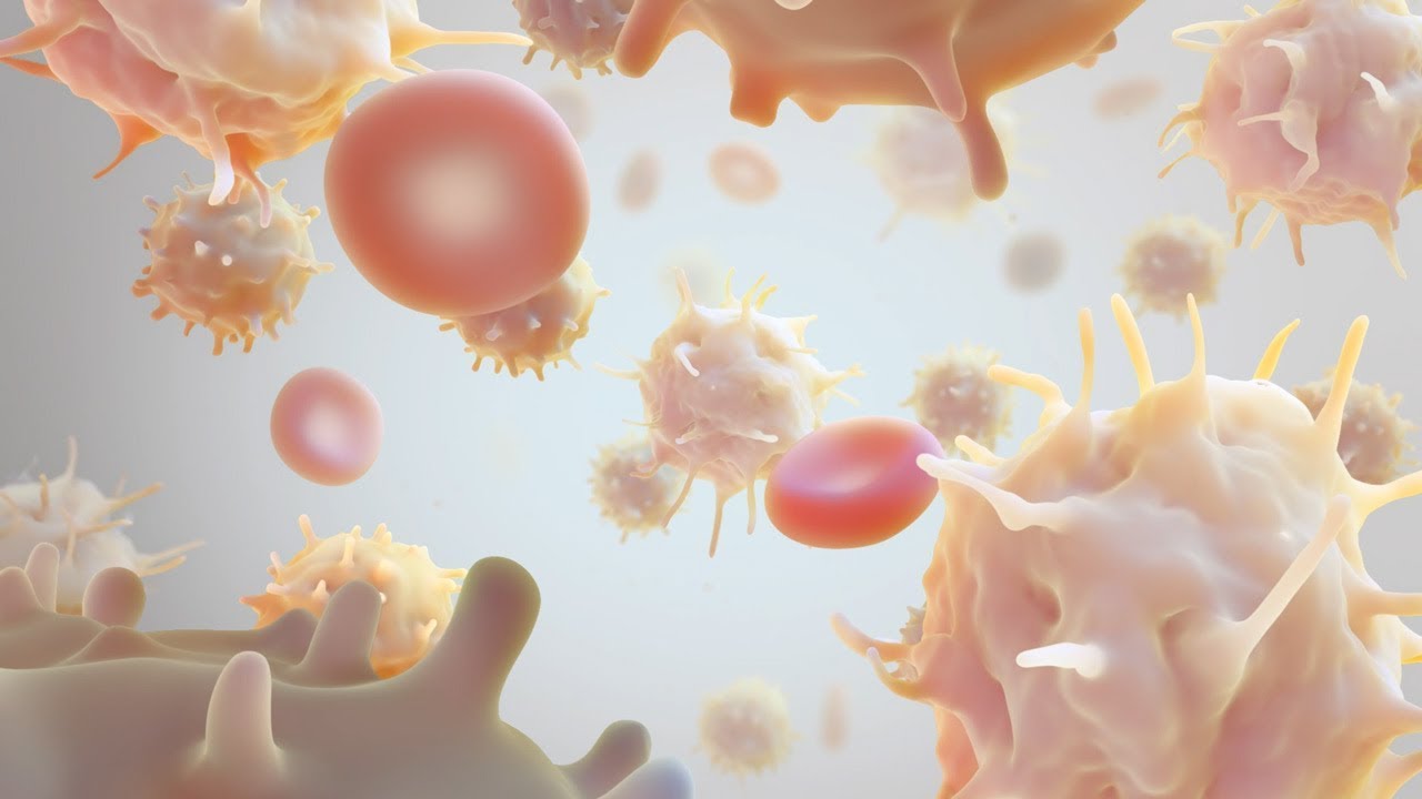 What is CAR T Cell Therapy? | City of Hope