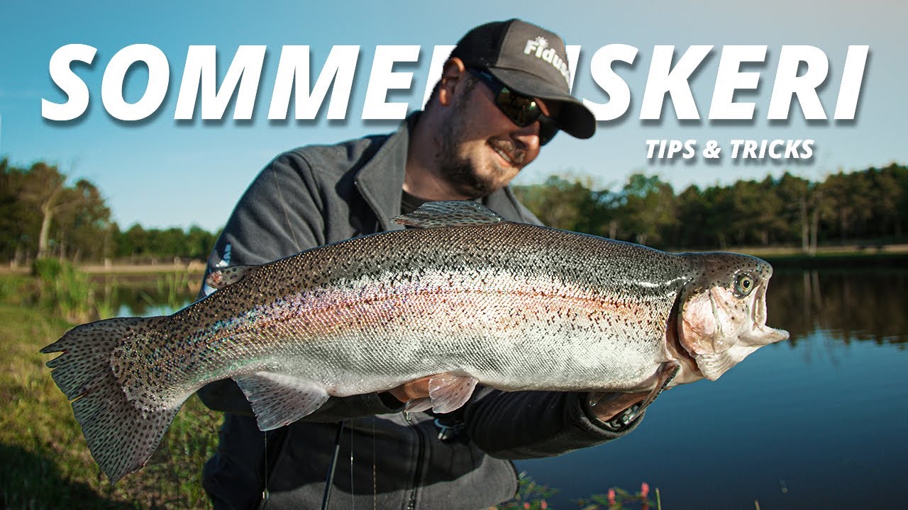 Put & Take Fiskeri I De Varme Måneder - Sommertips Til Ørredsøen!