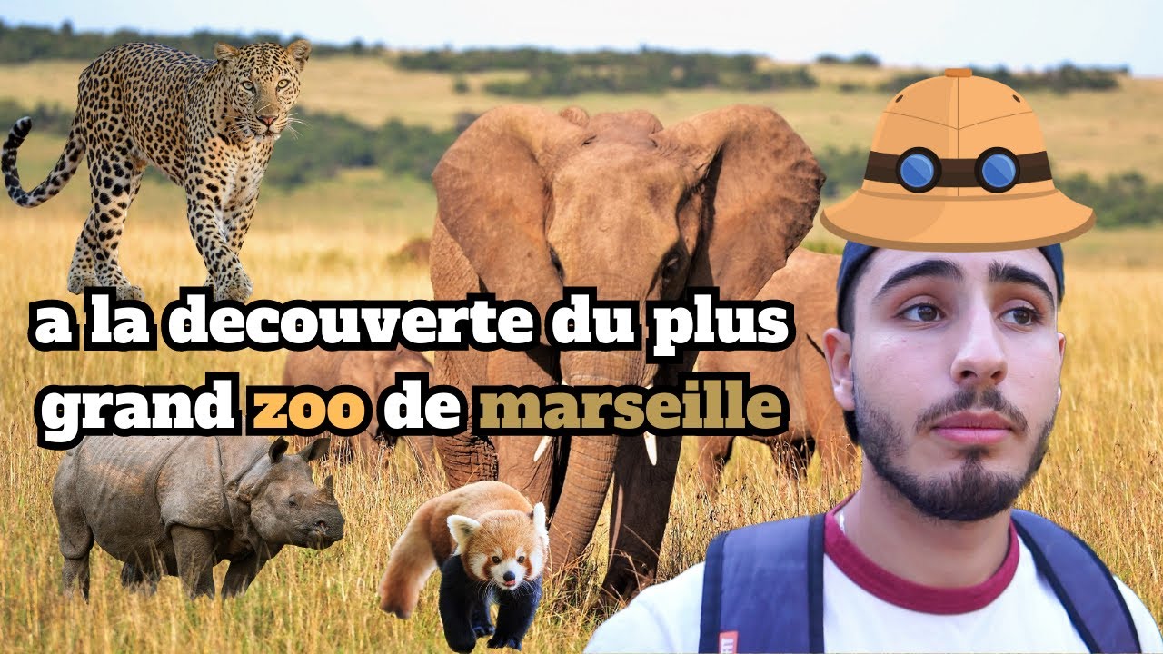 VLOG: Une journée au zoo de la barben