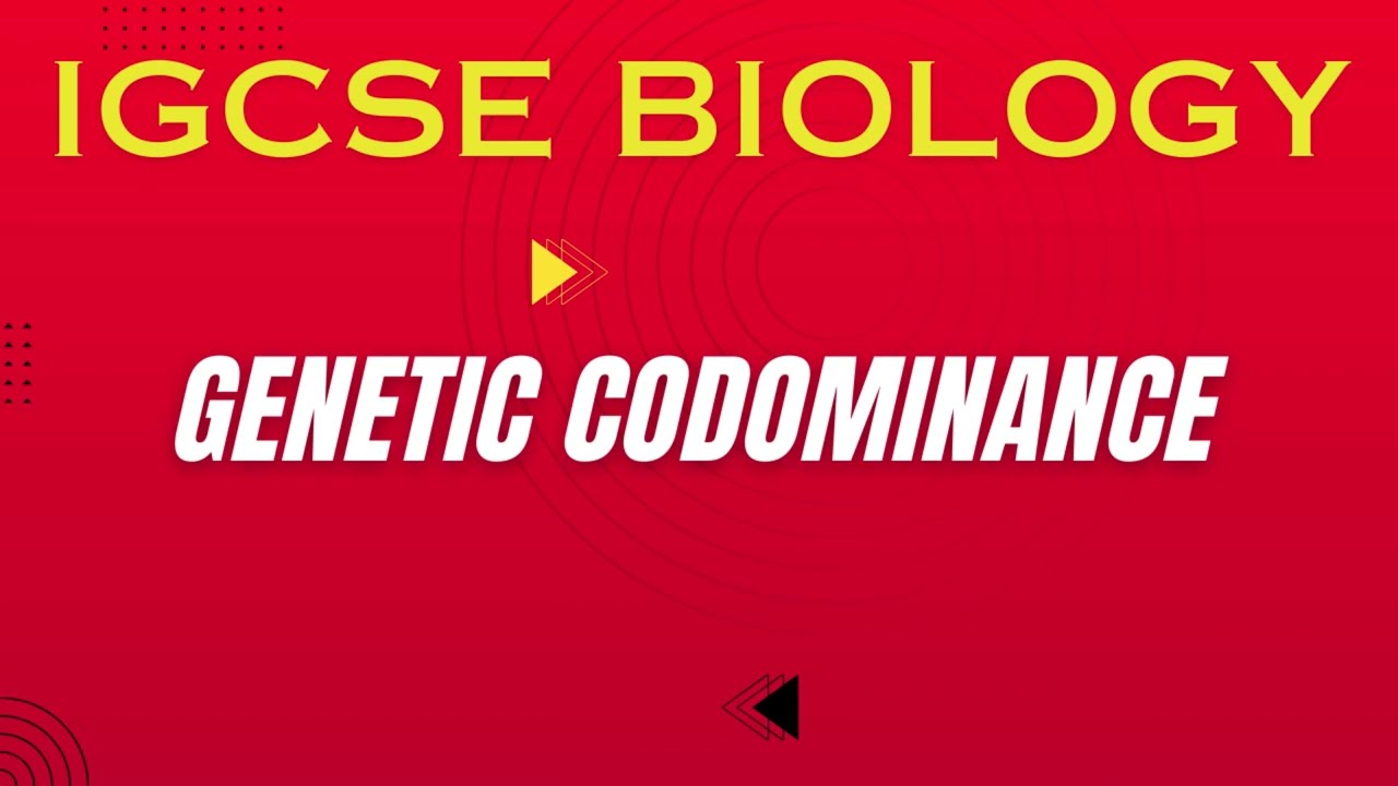 Codominance in One Example 🧬 | IGCSE Biology