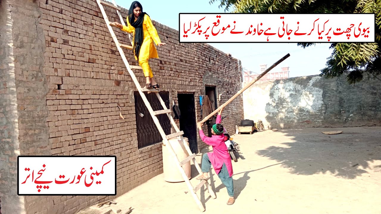 Wada Number Daar Noori Pakri Gai Kirlo Bhola khushia Kirli New Funny Comedy Video 2023 | You Tv