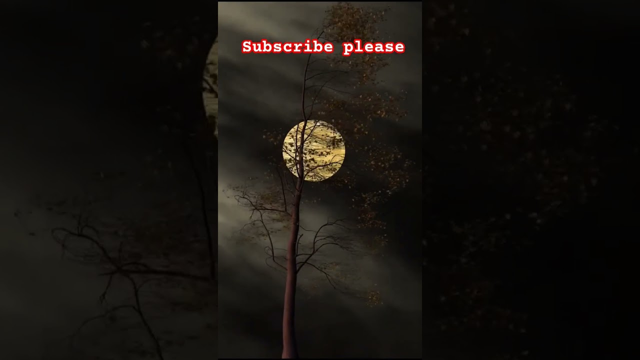 ChorusTujh Bin MeriKya raat kya Subah #status #shorts#viralvideo