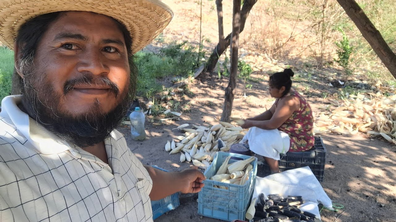 En el campo todo esto  vale tanto como el oro 😱
