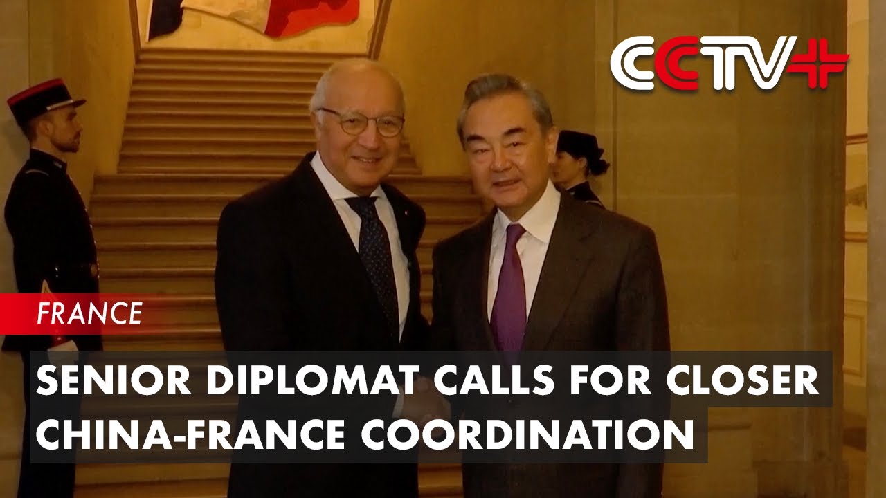 Senior Diplomat Calls for Closer China-France Coordination