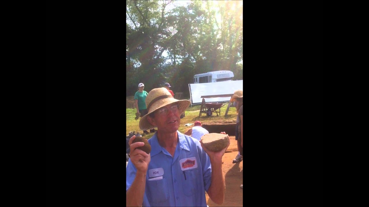 JOARA 2011 - The Berry site