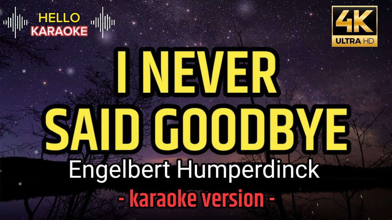 I Never Said Goodbye - Engelbert Humperdinck (karaoke version)