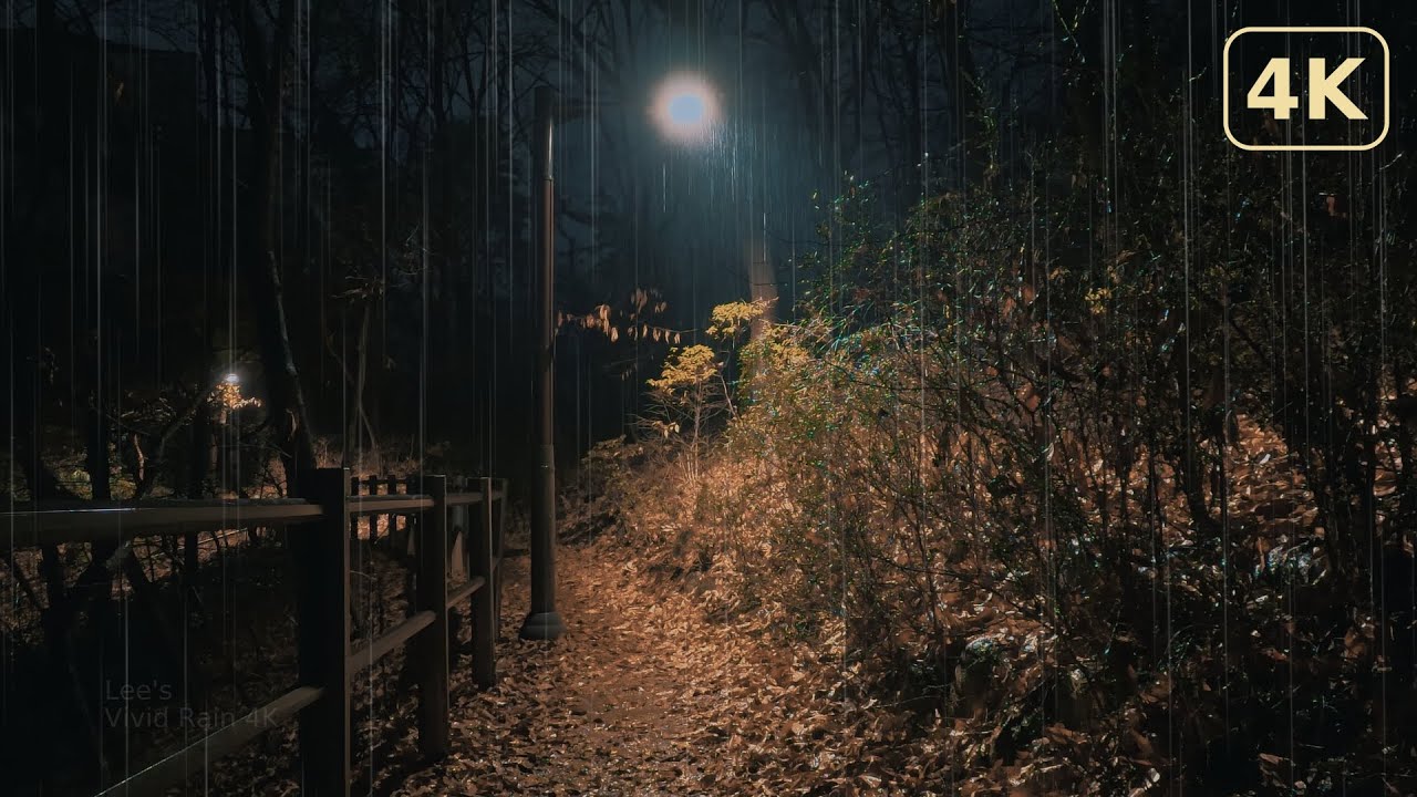 Ночной дождь на прогулочной дорожке для глубокого сна＆быстрого засыпания 4K: звук дождя (10 h)