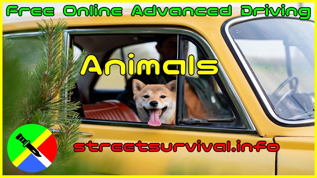 Smart Driving Strategies to Prevent Animal Collisions