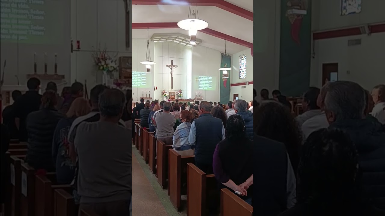 02/15/2026 | Sexto Domingo Del Tiempo Ordinario | Spanish 9:00AM Mass Saint Polycarp Catholic Church