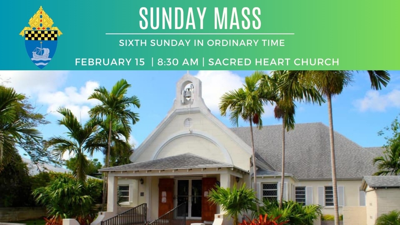Sunday Mass February 15 2026