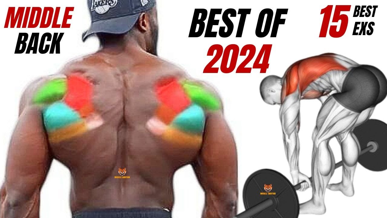 TOP 15 MIDDLE BACK WORKOUT WITH DUMBBELLS BARBELL AND CABLE ONLY AT GYM / BEST OF 2024