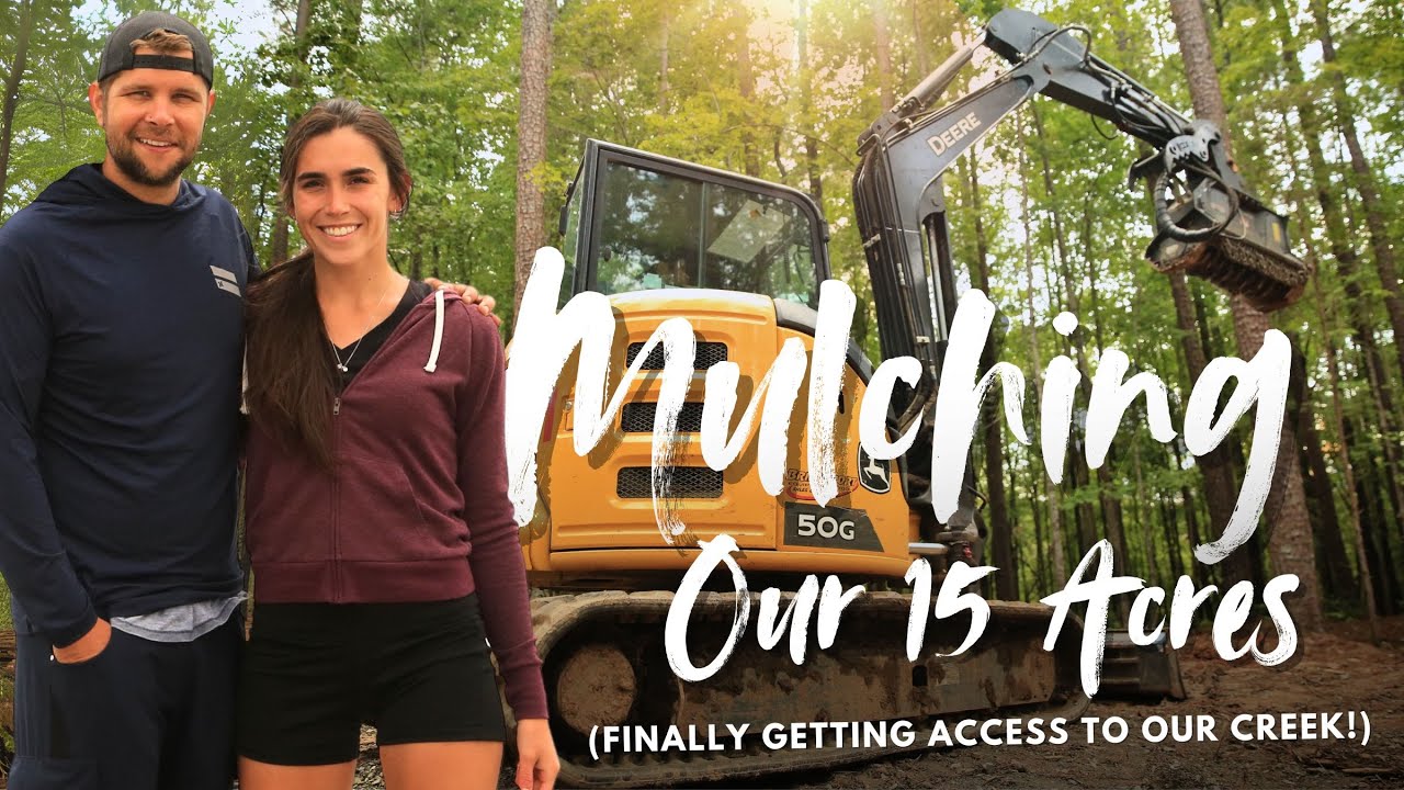 Mulching With a Mini Excavator And Building a Road to the Creek