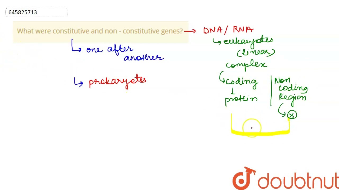 What were constitutive and non - constitutive genes? | CLASS 12 | MOLECULAR BASIS OF INHERITANCE...