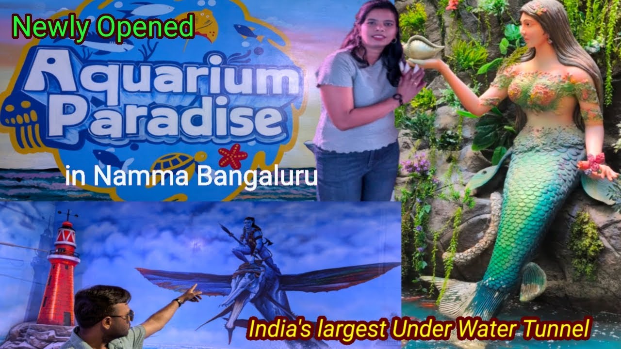 Aquarium Bangalore / Live Mermaids / UnderWater Tunnel #funworld#aquariumparadise#snowcity#travel