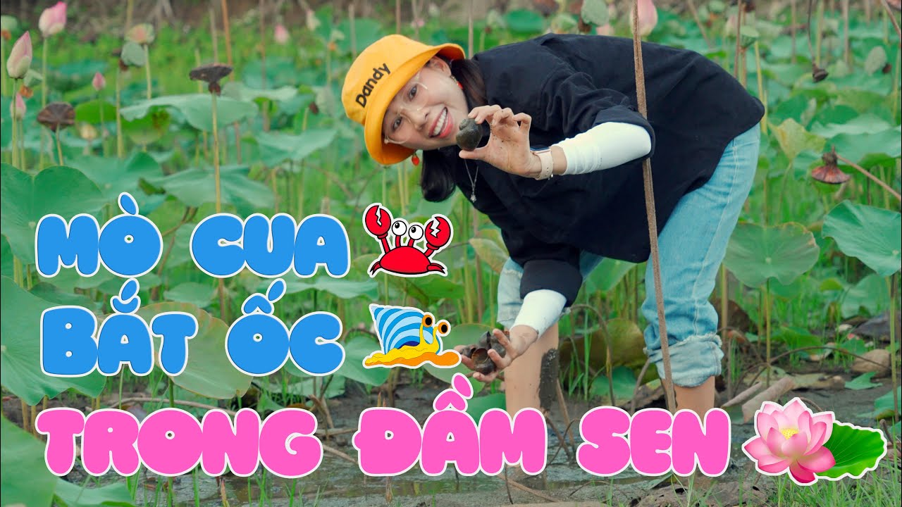 Một Ngày Của Chị Thơ Đi Mò Cua Bắt Ốc