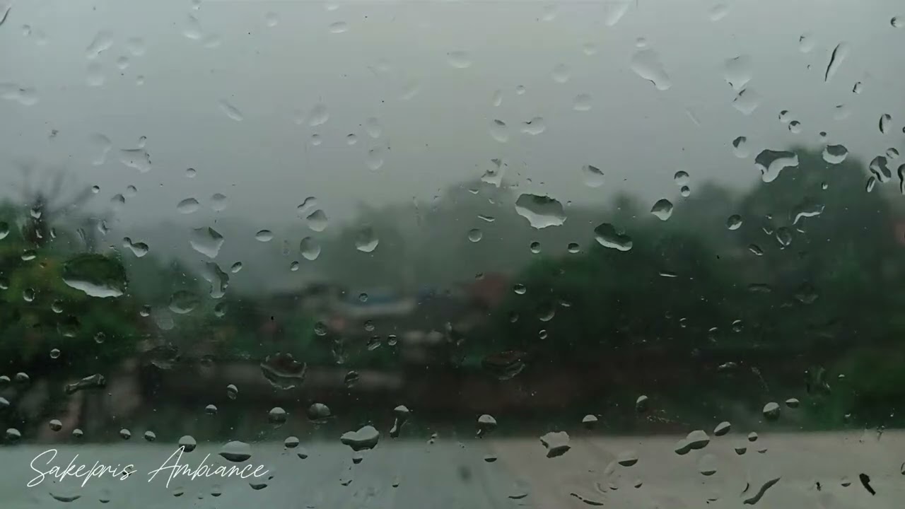 Afternoon Rain Sounds 🌧️ | Relaxing ASMR for Stress Relief & Calm Mind
