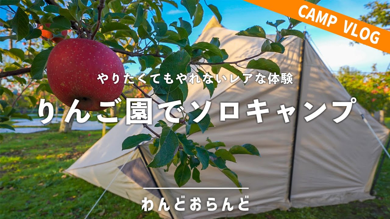 【ソロキャンプ】りんご園のど真ん中で「りんご縛りキャンプ」してみた！【わんどおらんど】【青森県藤崎町】