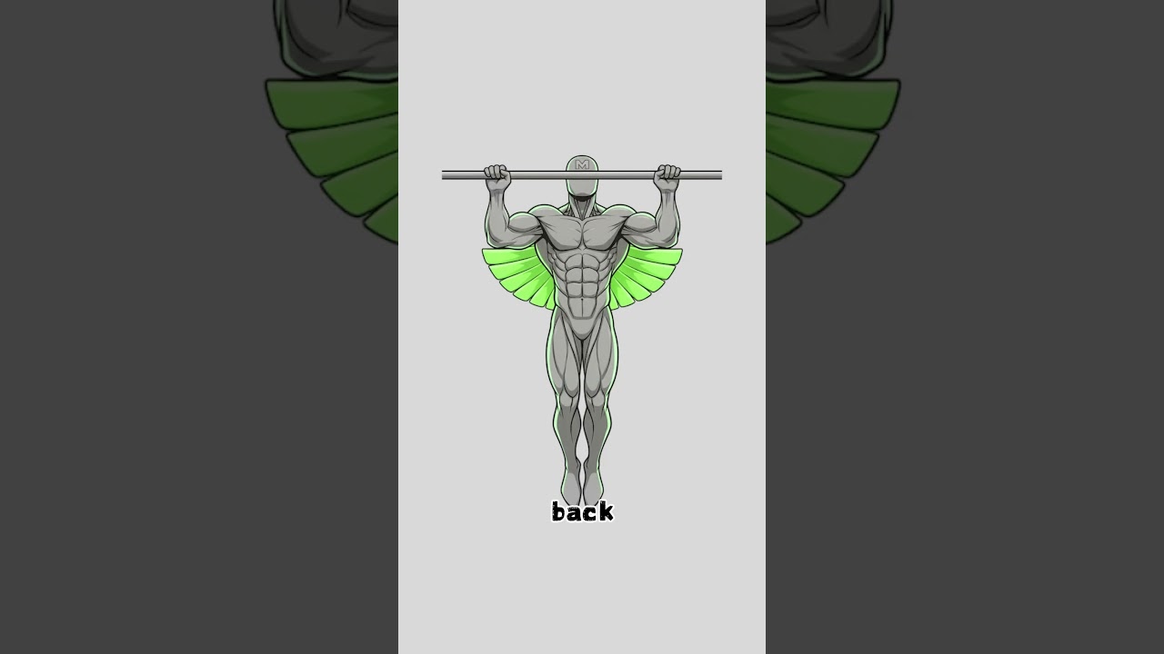 How to Get the Perfect V-Shape | Stop Wasting Your Pull-Ups