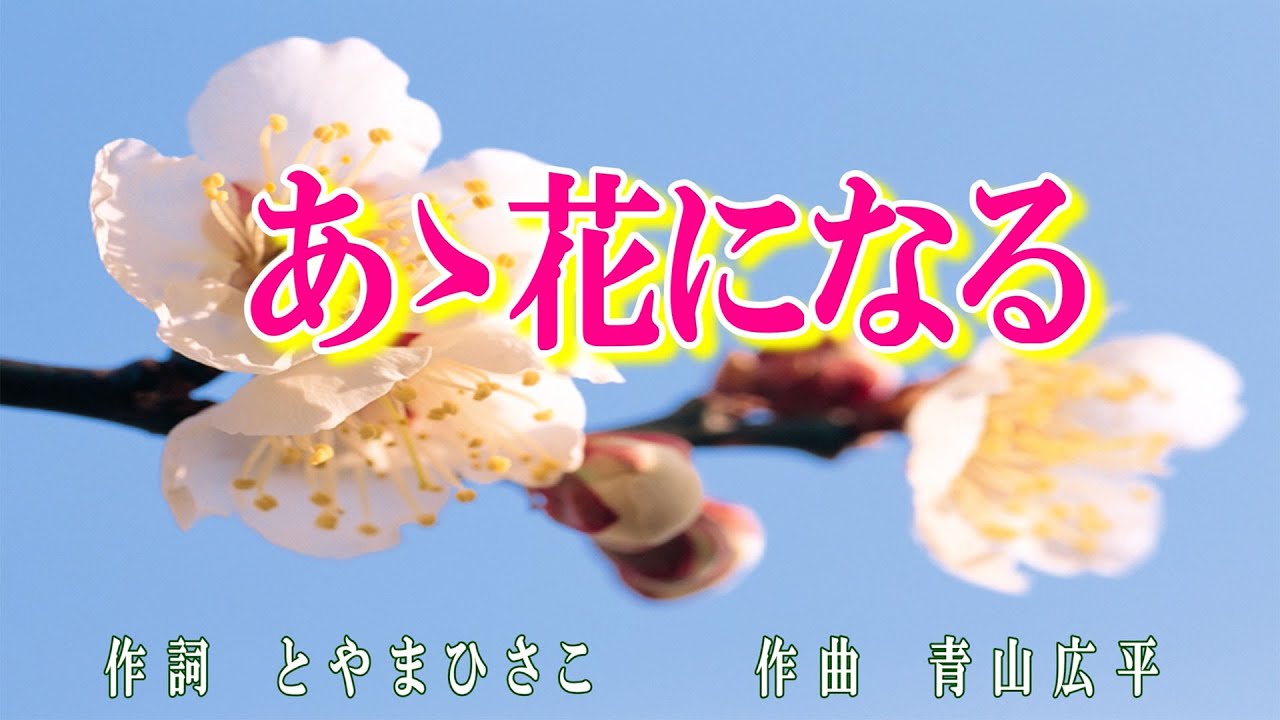 あゝ花になる　作詞：とやまひさこ　作曲：青山広平　歌手募集！　♬255