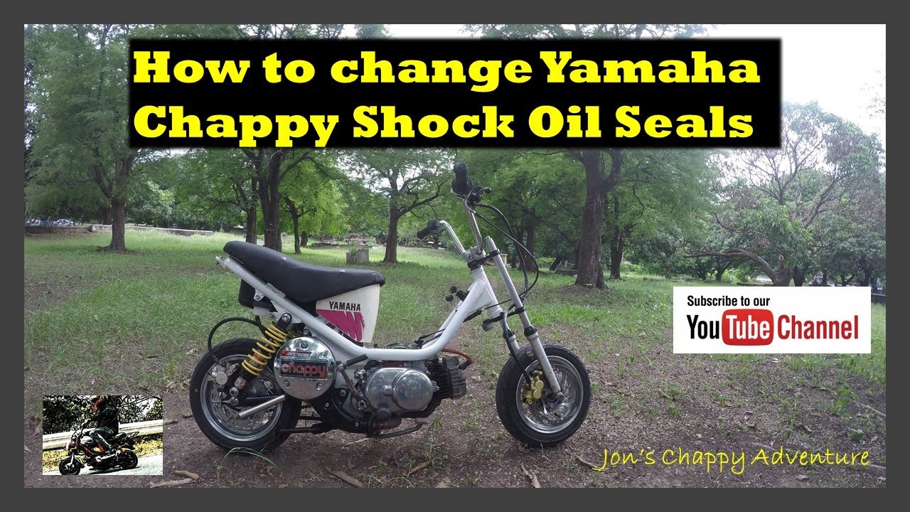 Yamaha Chappy: How to Replace Oil Seal in Shock for LB50 and LB80 Vlog #14