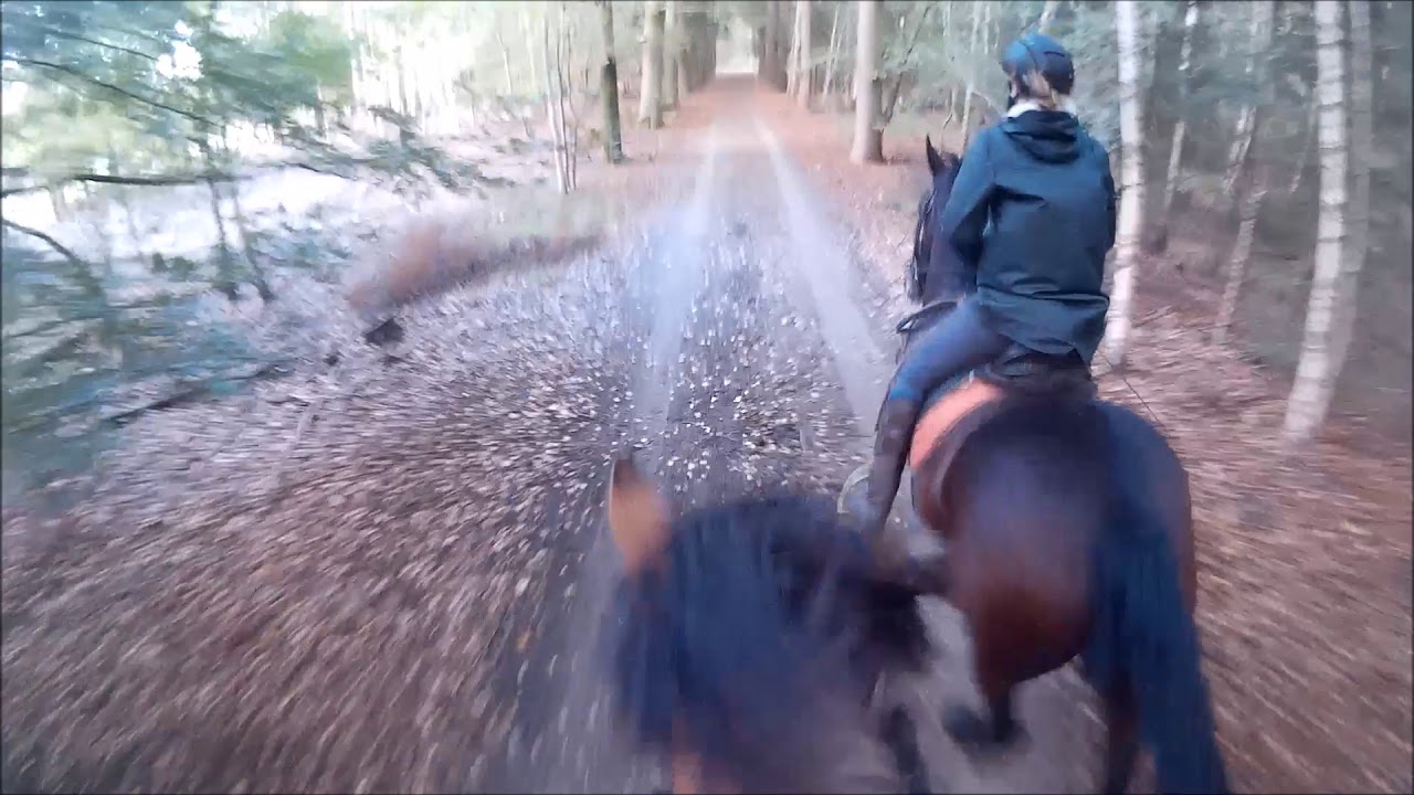 Privérit Natuurpoort van Loon 1-10-2018