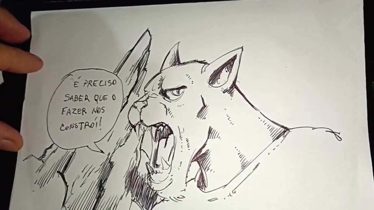 Desenhando gato de caneta