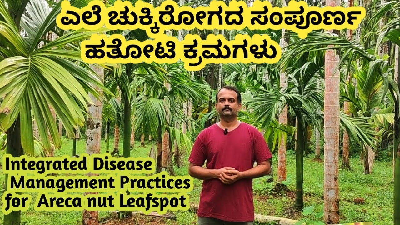 ಎಲೆ ಚುಕ್ಕಿ ರೋಗದ ಸಂಪೂರ್ಣ ಹತೋಟಿ ಕ್ರಮಗಳು | Integrated Disease management practices for Leafspot