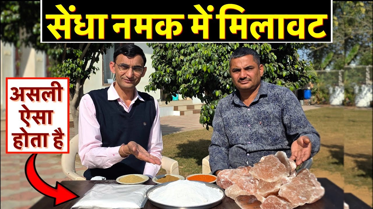 आपके सेंधा नमक में मिलावट, असली ऐसे पहचाने, मसालों का सच भी देखिए Pure Sendha Namak