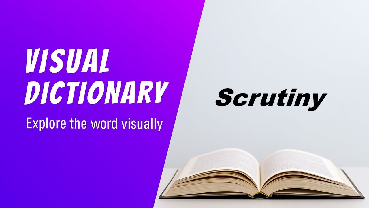 Scrutiny Meaning | Scrutiny Definition | Scrutiny Pronunciation | Visual Dictionary