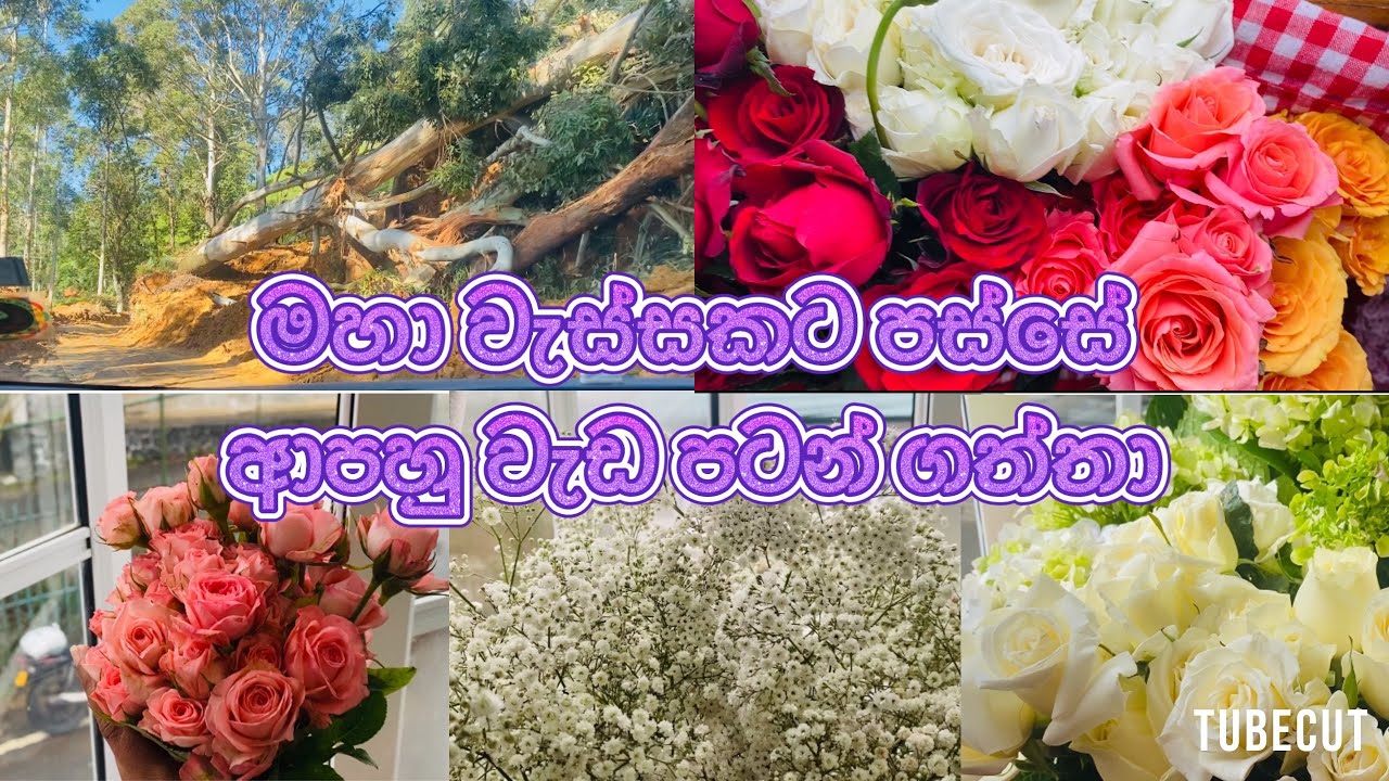 නුවරඑලියේ මල් වලින් ලග එන නත්තලට ගෙදර සරසගන්න ආස අයට Fresh Flowers අඩුවට ගෙදරටම ගෙන්න ගන්න 🌸