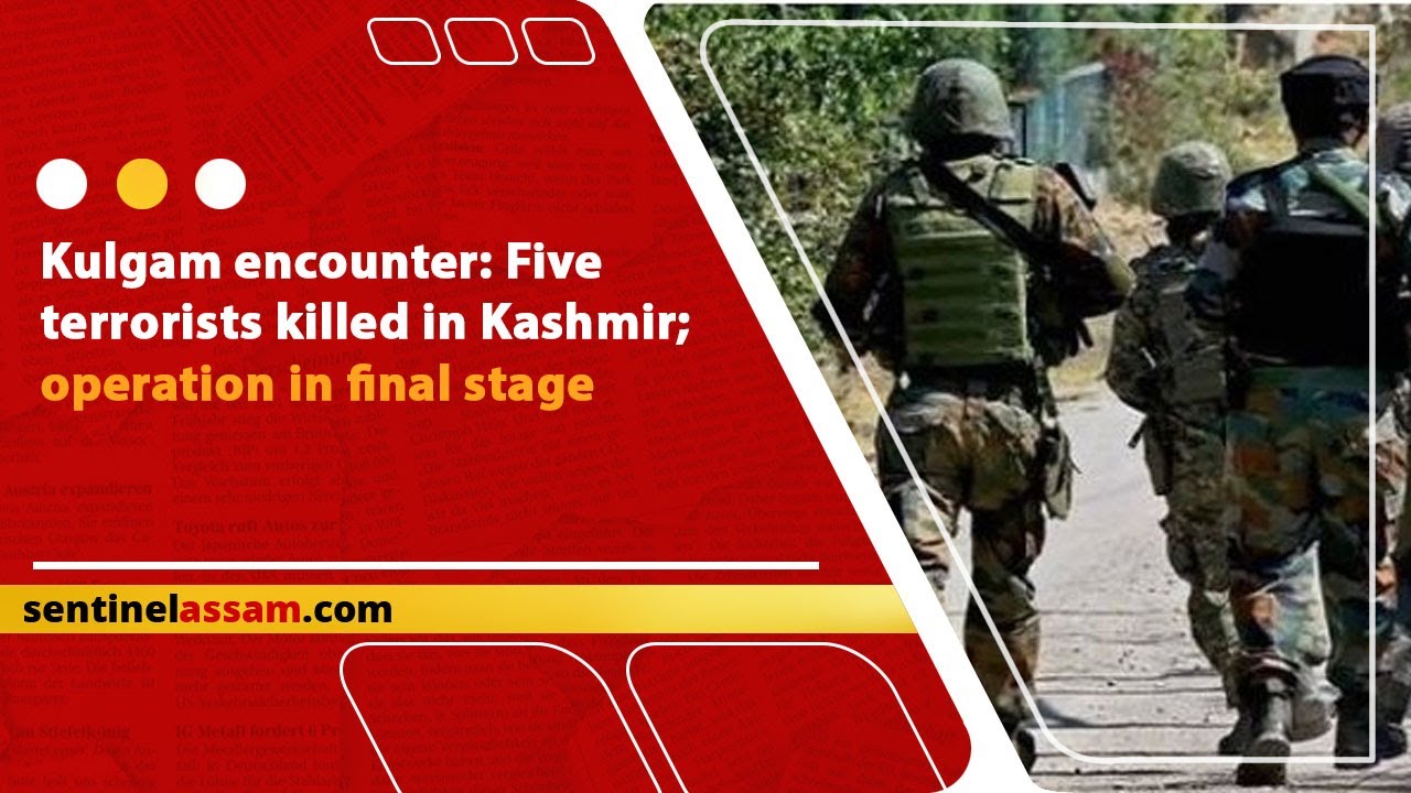 Kulgam Encounter: Five Terrorists Killed In Kashmir; Operation In Final Stage