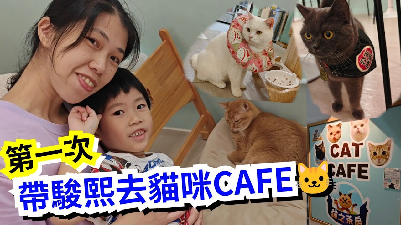 【CAT CAFE】第一次帶駿點熙去貓咪cafe🐱有好多得意貓咪 全部貓都是領養的  👍 freekingdomtoys三人眾TV