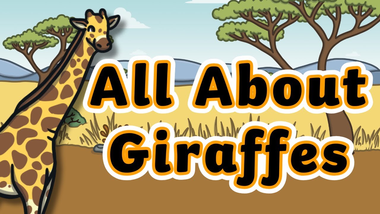 All About Giraffes for Kids | 5 Amazing Giraffe Facts