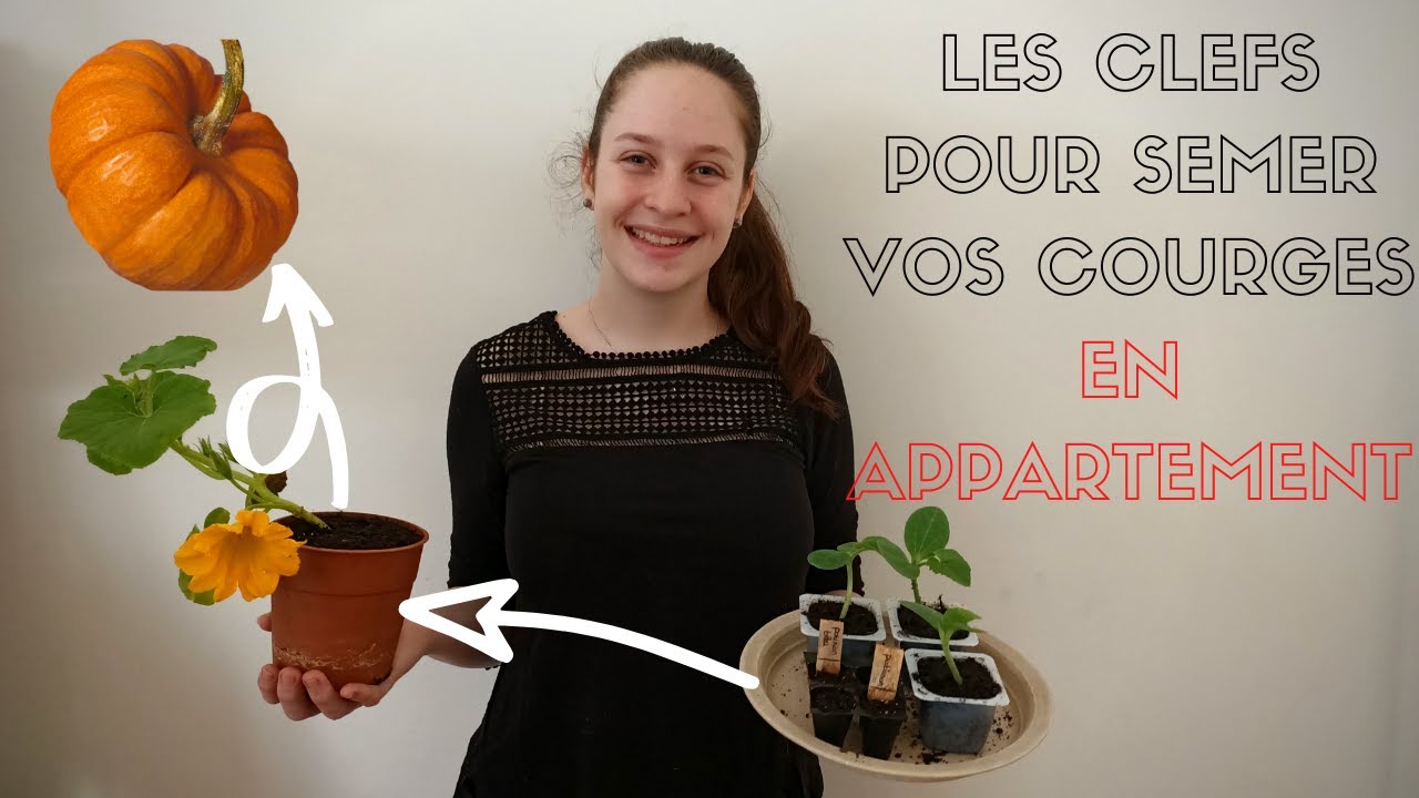 COMMENT PLANTER SES COURGES ? (semis, rempotage, pollinisation)