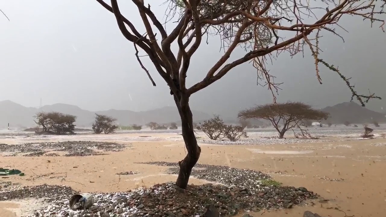 أمطار الفريش غرب المدينة المنورة | السبت ١٤٣٩/٦/٨ مشهد لايوصف.