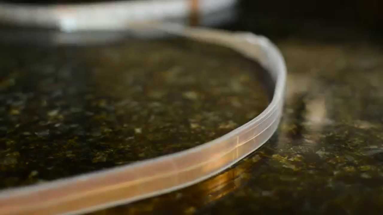 Philips Hue Lightstrip Plus Wireless Color Changing LED Lighting- [Review]