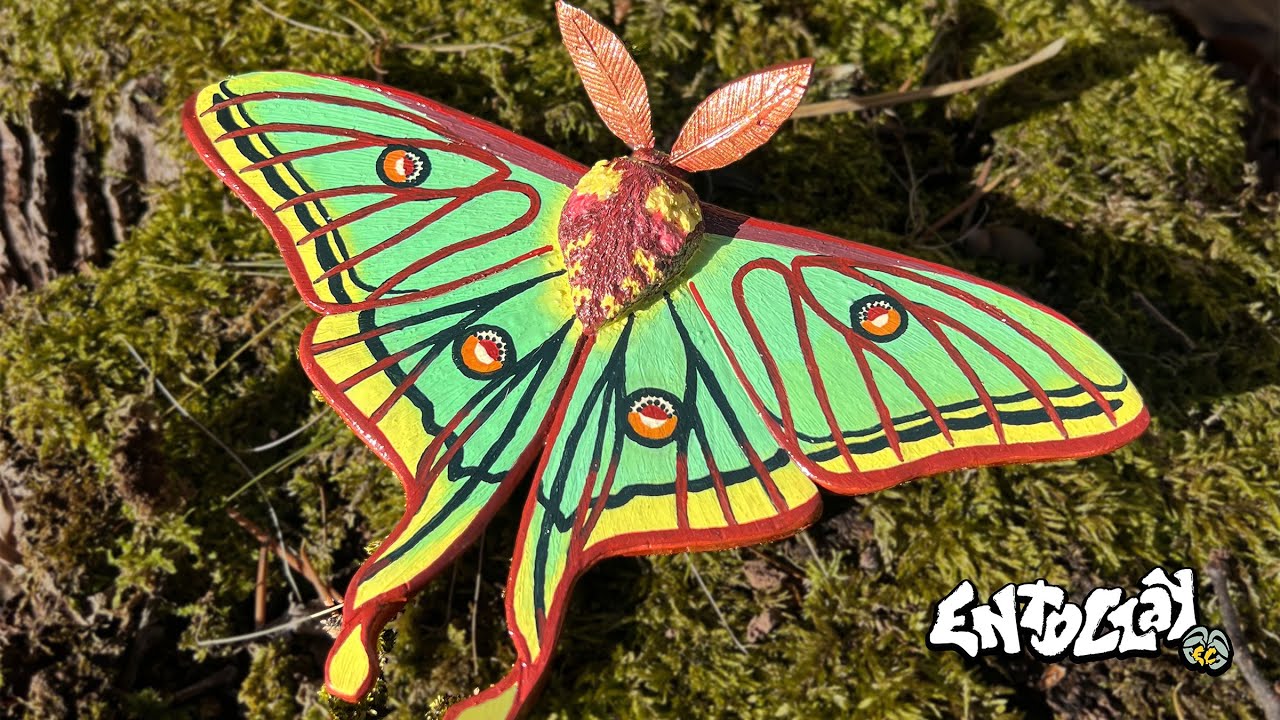 I Made a Spanish Moon Moth out of Polymer Clay for the New Year!!