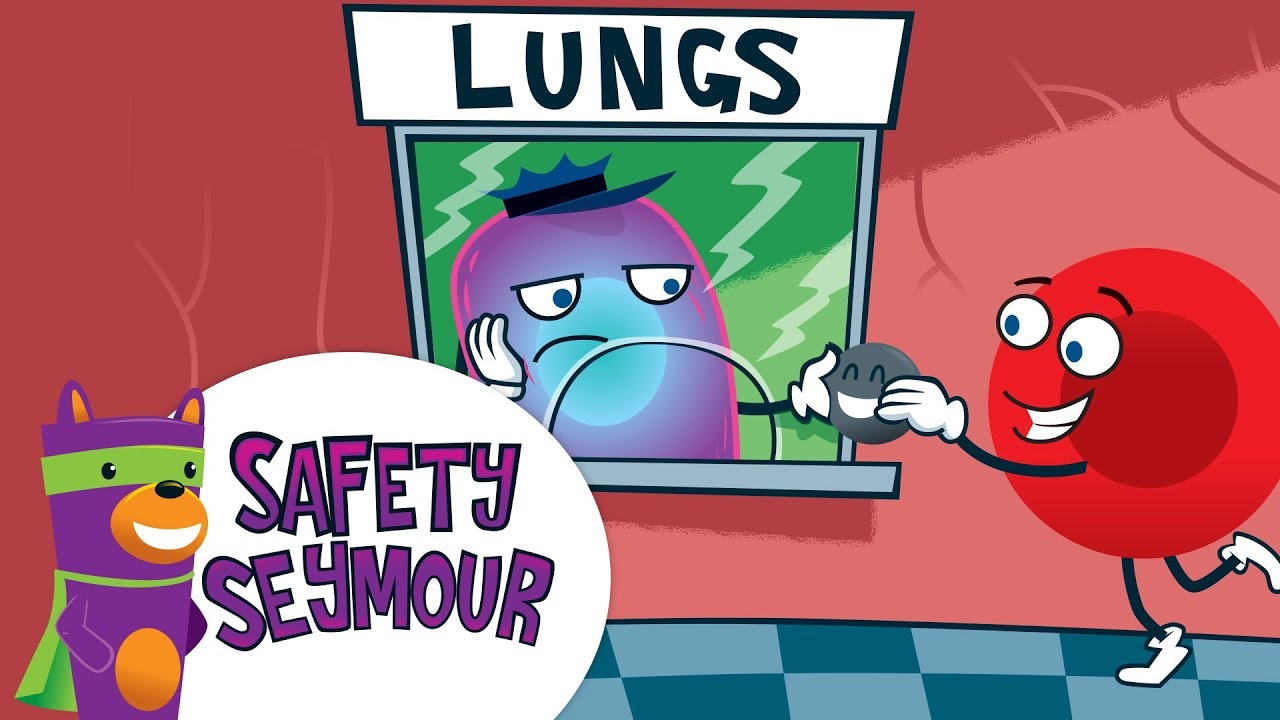 What happens when you breathe Carbon Monoxide? (Safety Seymour)