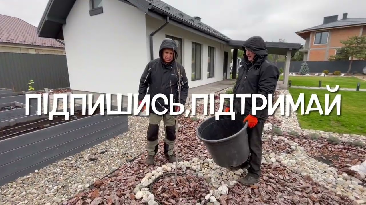 ЛАНДШАФТ З НУЛЯ ВЗИМКУ.