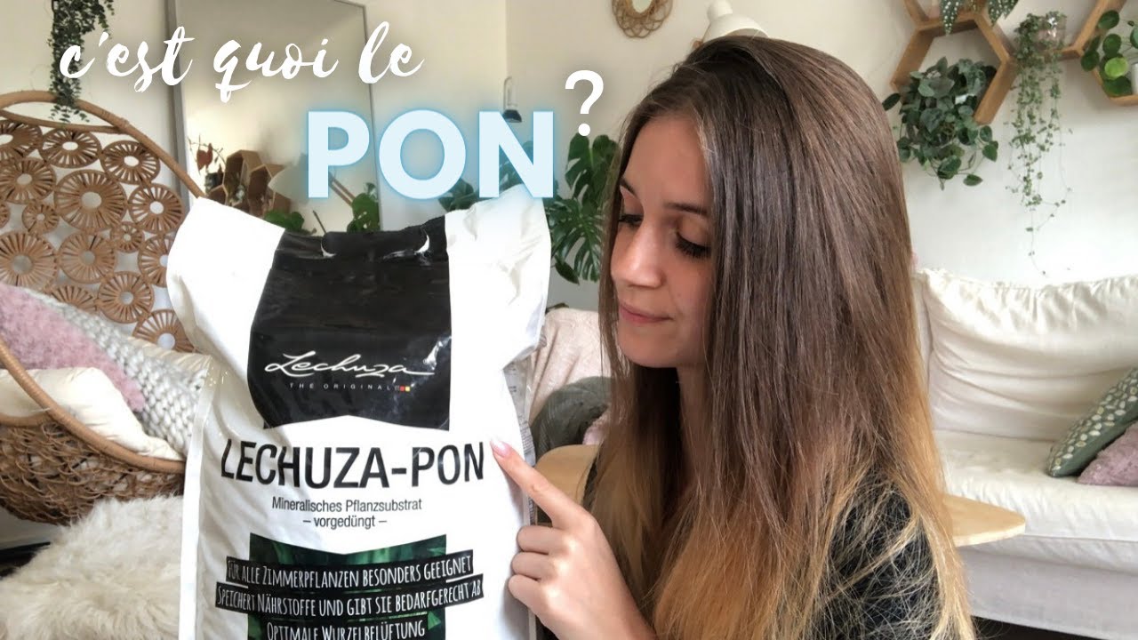 Le substrat Lechuza PON : Composition, utilisation et avantages