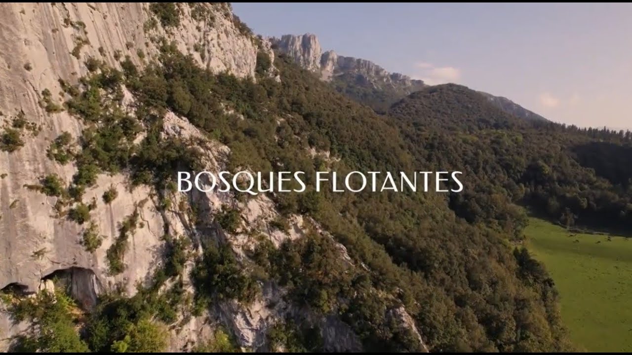 Fundación Naturaleza y Hombre les transmite sus mejores deseos para el año 2026 ✨